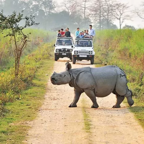 Guwahati Kaziranga Meghalaya